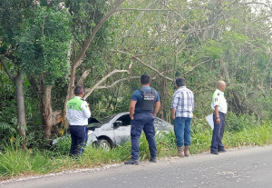 ¡CHOCA AUTO CONTRA ÁRBOL!