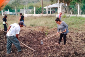 EXPERIMENTAN CULTIVOS EN LA TELESECUNDARIA