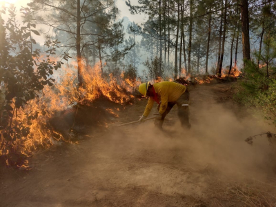 Prohibidas las quemas agropecuarias