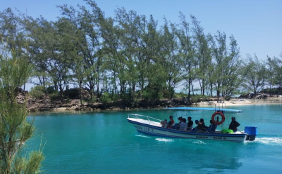 Por caso de gripe aviar cierran acceso a isla Lobos