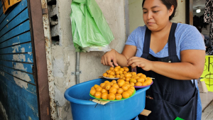 El Jobo pinta de amarillo el norte veracruzano