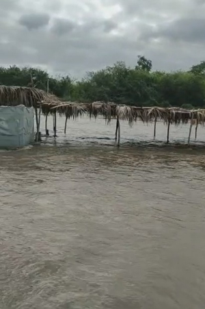 Aumentan nivel el río Cazones, inundando la zona de palapas