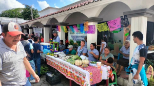 “Beneficiarios del programa Sembrando Vida promueven productos orgánicos en tianguis de Álamo”