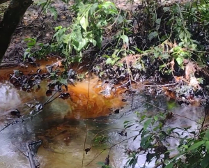 Fuga de hidrocarburo provoca alerta en comunidad de Coatzintla