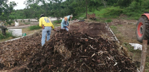 Recurren a las alternativas agroecológicas